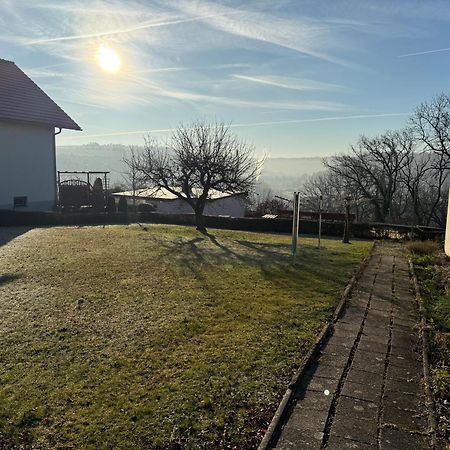 Cozy Pet-Friendly Apartment Meißen Zewnętrze zdjęcie
