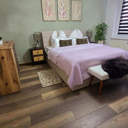 Cozy Pet-Friendly Apartment Meißen Zewnętrze zdjęcie