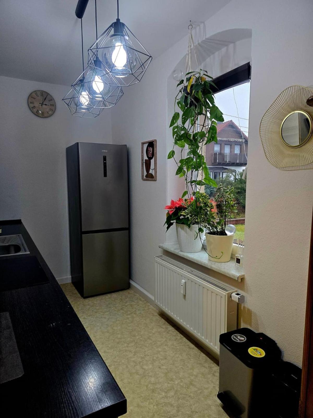 Cozy Pet-Friendly Apartment Meißen Zewnętrze zdjęcie