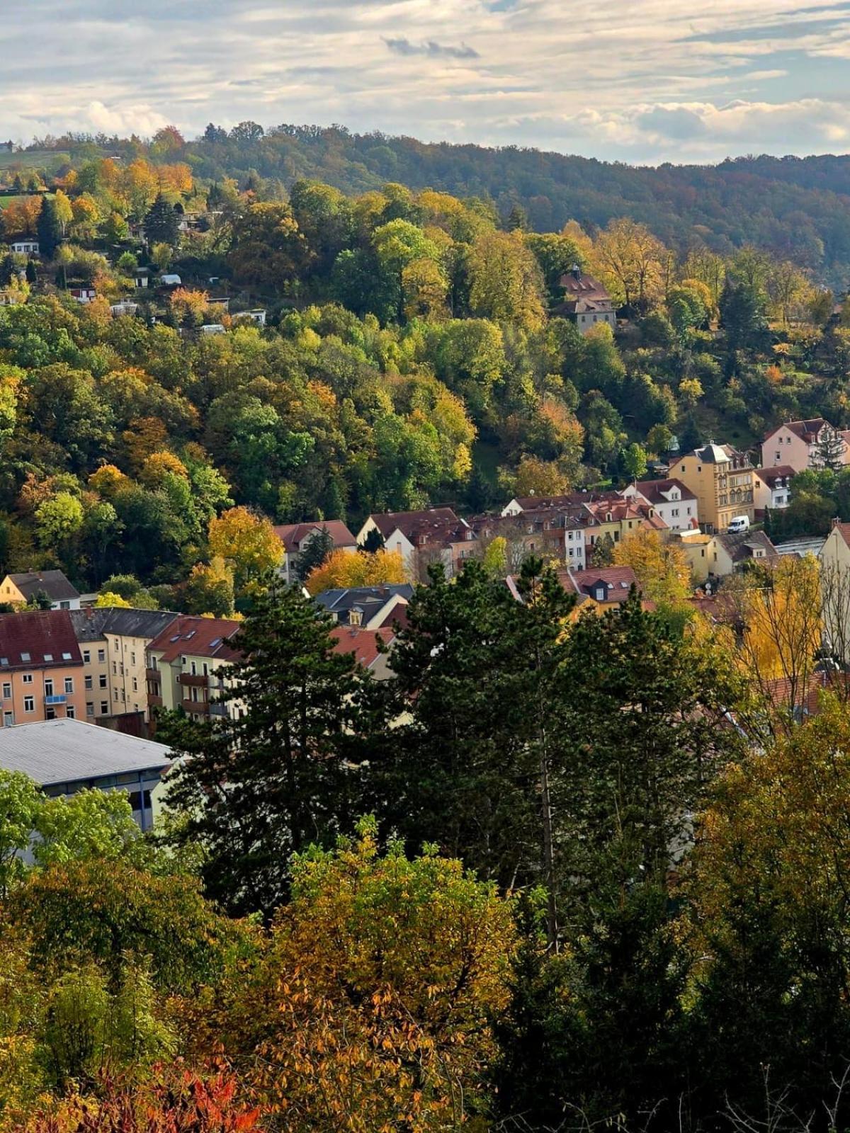 Cozy Pet-Friendly Apartment Meißen Zewnętrze zdjęcie