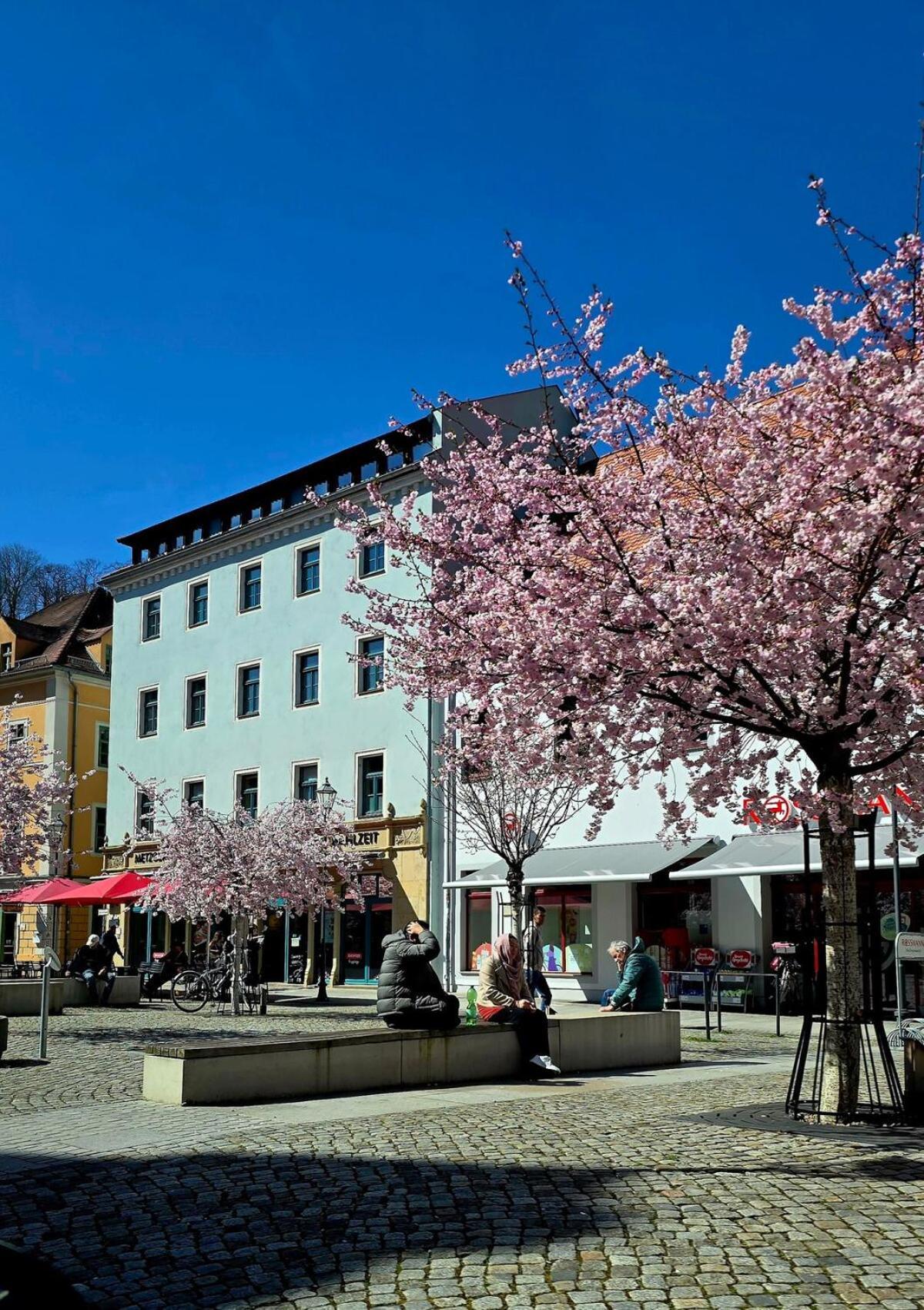 Cozy Pet-Friendly Apartment Meißen Zewnętrze zdjęcie